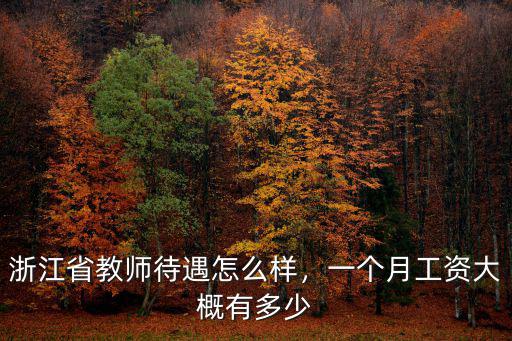 浙江省的中小學教師工資多少,浙江省教師待遇怎么樣
