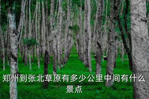 從德州到河南鄭州有多少公里,中間有什么景點