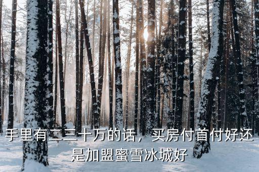 深圳蜜雪冰城加盟費多少,開家蜜雪冰城多少錢