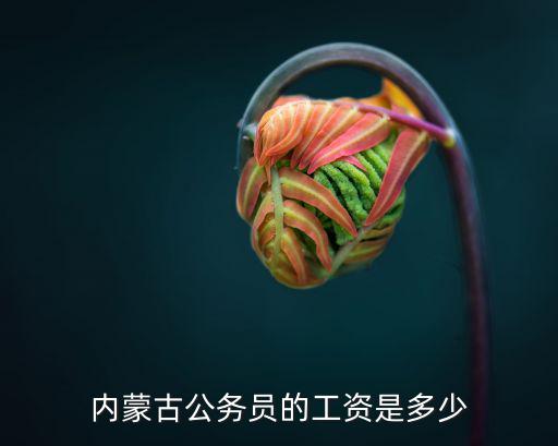 兩千年泰安的正科級(jí)干部工資多少,內(nèi)蒙古公務(wù)員的工資是多少