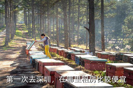深圳租房平湖哪里便宜又好,第一次去深圳
