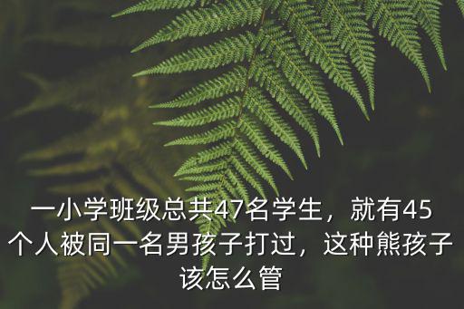 一小學(xué)班級總共47名學(xué)生，就有45個人被同一名男孩子打過，這種熊孩子該怎么管