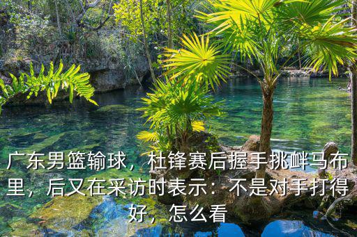 廣東隊輸球怎么評價杜鋒,如何評價杜鋒的改變