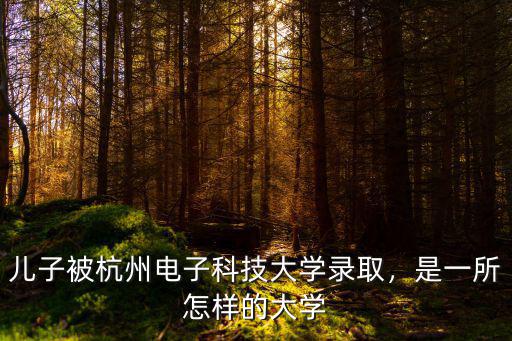 兒子被杭州電子科技大學(xué)錄取，是一所怎樣的大學(xué)