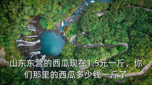 山東黑皮西瓜多少錢一斤,你們那里的西瓜多少錢一斤了