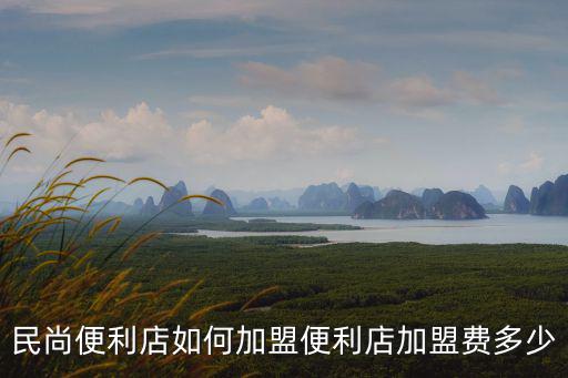 民尚便利店如何加盟便利店加盟費多少
