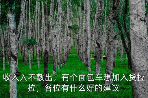 收入入不敷出，有個面包車想加入貨拉拉，各位有什么好的建議