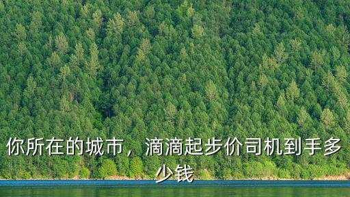 惠州滴滴的起步價多少,你們那最低的起步價是多少