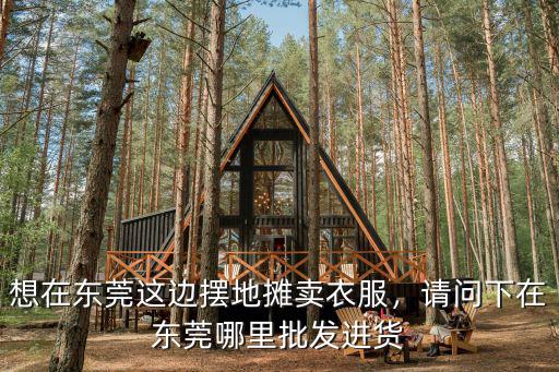 想在東莞這邊擺地攤賣衣服，請問下在東莞哪里批發(fā)進(jìn)貨