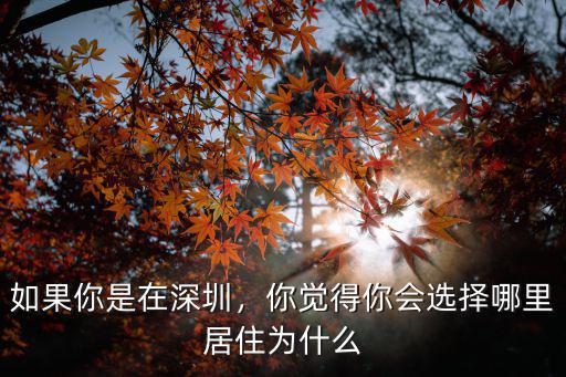 一個(gè)人在深圳住在哪里好,如果你是在深圳