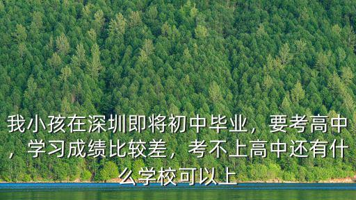 深圳私立國際高中 學費多少,深圳掀起國際學校轉學潮