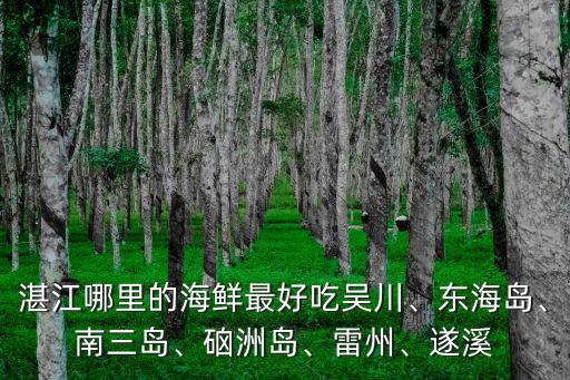 湛江哪里的海鮮最好吃吳川、東海島、南三島、硇洲島、雷州、遂溪