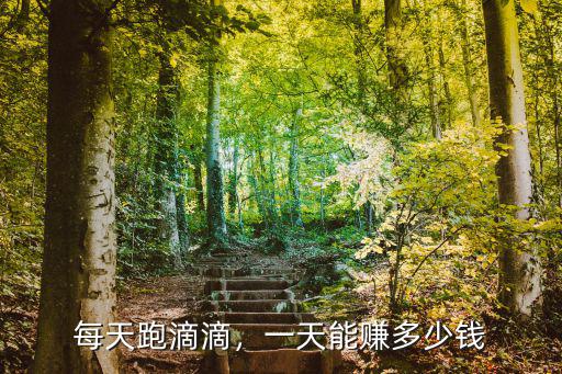 深圳滴滴專車一天收入多少錢,一天能賺多少錢