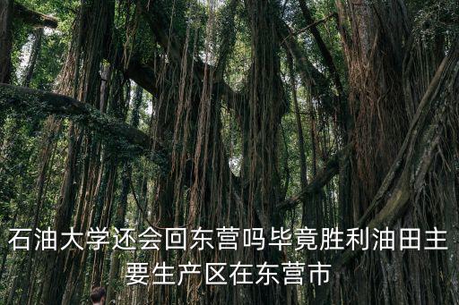 東營勝利油田有多少井,石油大學還會回東營嗎