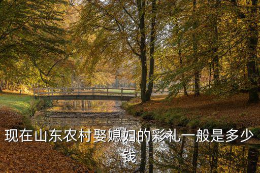 現在山東農村娶媳婦的彩禮一般是多少錢