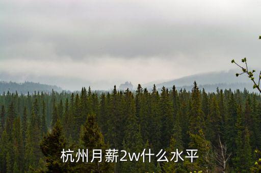 杭州月薪2w什么水平
