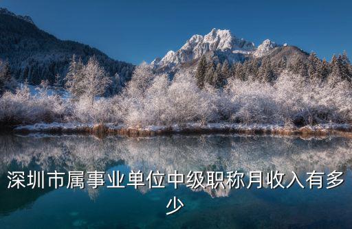 博士在深圳事業單位收入多少,深圳機關事業單位聘員工資低