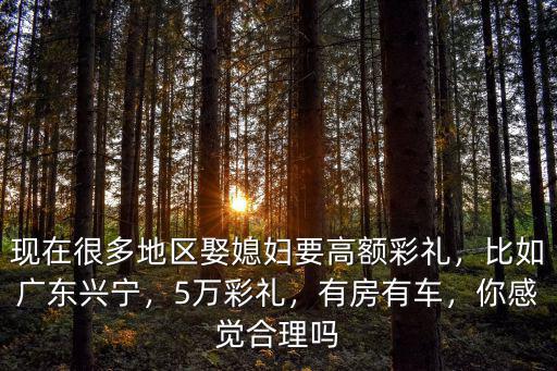 現(xiàn)在很多地區(qū)娶媳婦要高額彩禮，比如廣東興寧，5萬彩禮，有房有車，你感覺合理嗎