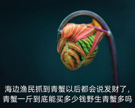 臺州青蟹批發多少一斤,臺州三門青蟹怎么樣