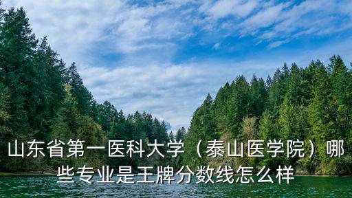 山東省第一醫科大學（泰山醫學院）哪些專業是王牌分數線怎么樣