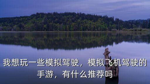 我想玩一些模擬駕駛，模擬飛機(jī)駕駛的手游，有什么推薦嗎