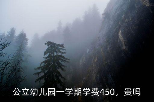 公立幼兒園一學期學費450，貴嗎