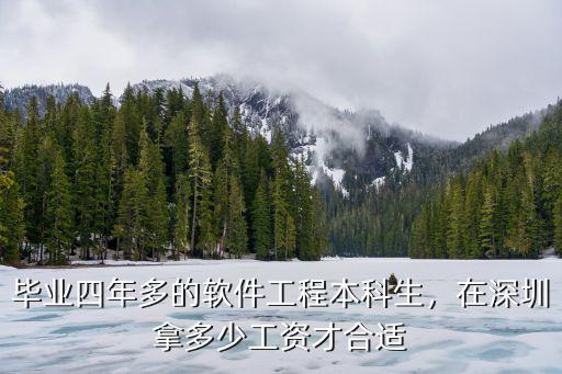 畢業(yè)四年多的軟件工程本科生，在深圳拿多少工資才合適
