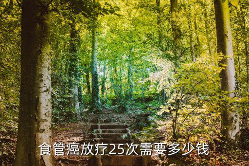 食管癌放療25次需要多少錢