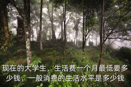 青島大學(xué)生服務(wù)多少錢一個月,在青島一個月工資4500元