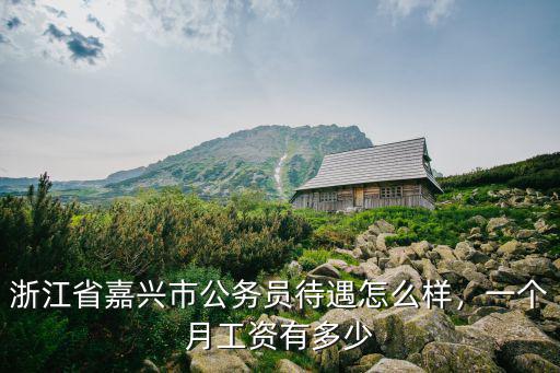 嘉興一萬(wàn)元工資到手多少,公務(wù)員工資1萬(wàn)到手多少錢(qián)