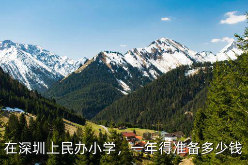 深圳小學一個班多少錢,在深圳上民辦小學