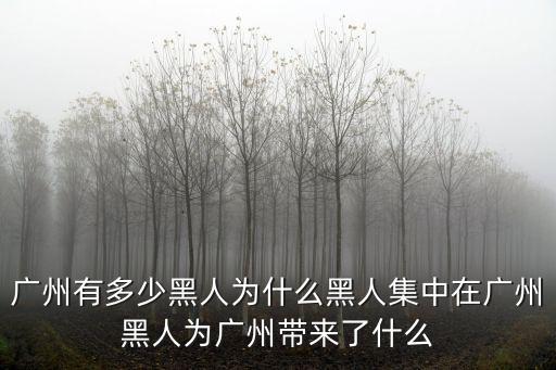 廣州黑人有多少,為什么黑人集中在廣州