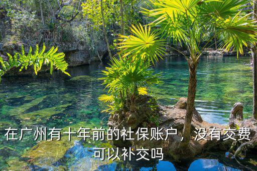 廣州交社保以前的怎么沒有,在廣州有十年前的社保賬戶