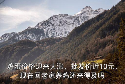 雞蛋價格迎來大漲，批發價近10元，現在回老家養雞還來得及嗎