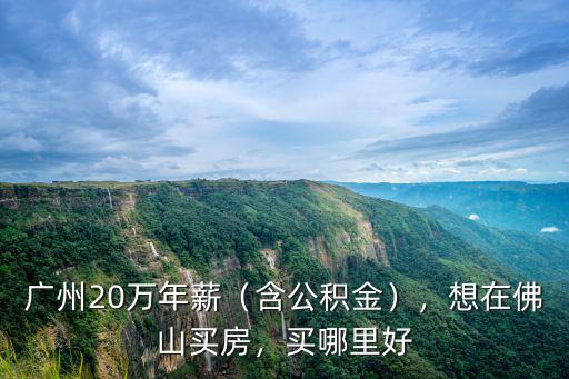 廣州20萬年薪（含公積金），想在佛山買房，買哪里好
