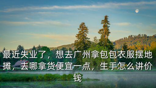 最近失業了，想去廣州拿包包衣服擺地攤，去哪拿貨便宜一點，生手怎么講價錢