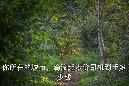 你所在的城市，滴滴起步價司機到手多少錢