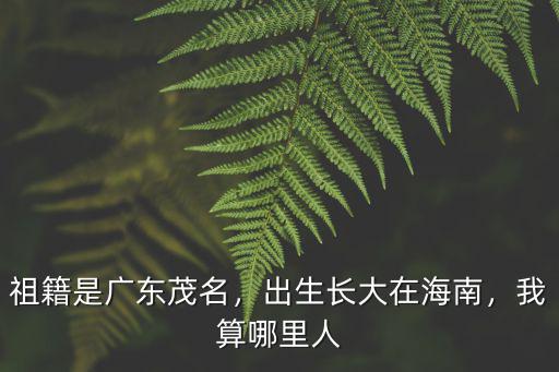 祖籍是廣東茂名，出生長大在海南，我算哪里人