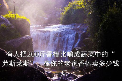 有人把200斤香椿比喻成蔬菜中的“勞斯萊斯”，在你的老家香椿賣多少錢一斤