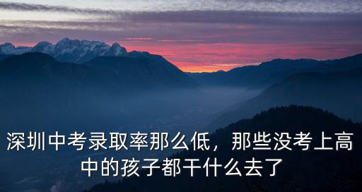 深圳沒有中考怎么上高中,深圳中考錄取率那么低