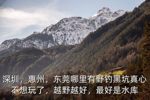 深圳，惠州，東莞哪里有野釣黑坑真心不想玩了，越野越好，最好是水庫