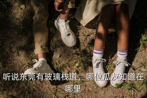 聽說東莞有玻璃棧道，哪位瓜友知道在哪里