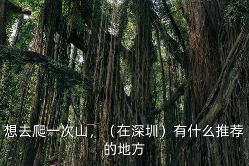 深圳爬山去哪里爬比較好,深圳有哪座山是值得去的嗎