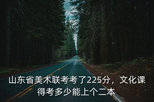 山東省2016美術(shù)統(tǒng)考分?jǐn)?shù)線是多少,山東省美術(shù)聯(lián)考考了225分