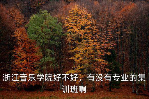 浙江音樂學(xué)院好不好，有沒有專業(yè)的集訓(xùn)班啊