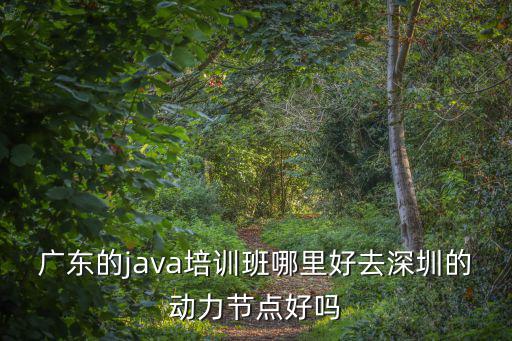 廣東的java培訓班哪里好去深圳的動力節點好嗎