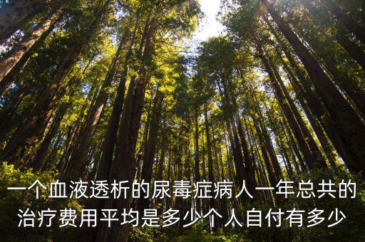 一個血液透析的尿毒癥病人一年總共的治療費用平均是多少個人自付有多少