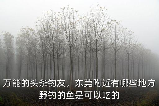 萬能的頭條釣友，東莞附近有哪些地方野釣的魚是可以吃的