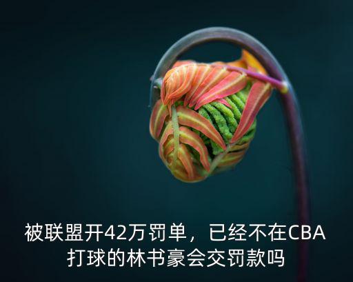 被聯盟開42萬罰單，已經不在CBA打球的林書豪會交罰款嗎