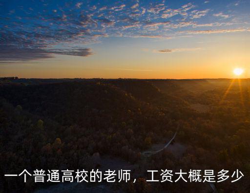浙江大學老師一個月工資多少錢,一個普通高校的老師